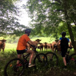 Vézère Passion - Rando et Location VTT